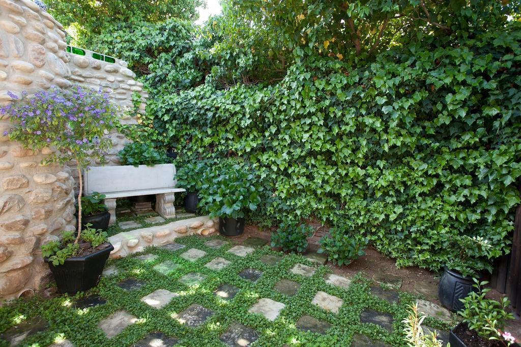 Miles B&B Guest House Oudtshoorn Εξωτερικό φωτογραφία